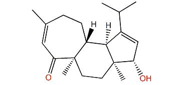 Cyanthiwigin Z